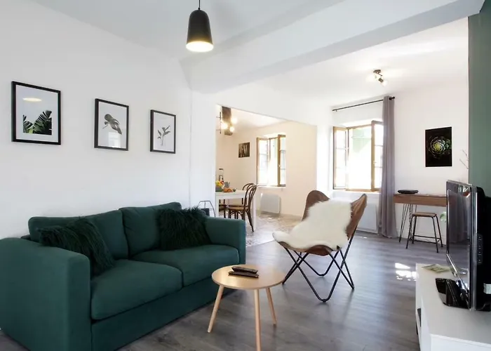 Les Gites De Laure - L\'Or Vert, Appartement Avec Vue Sur Le Chateau, Parking Prive, Climatisation, Netflix, A 160 M De La Cite Medievale