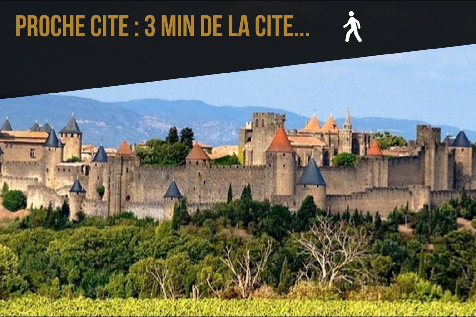 Appartamento Les De Laure - L'or Vert, Avec Vue Sur Le Chateau, Parking Prive, Climatisation, Netflix, A 160 M De La Cite Medievale